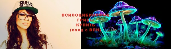 трава Арсеньев
