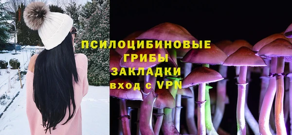 трава Арсеньев
