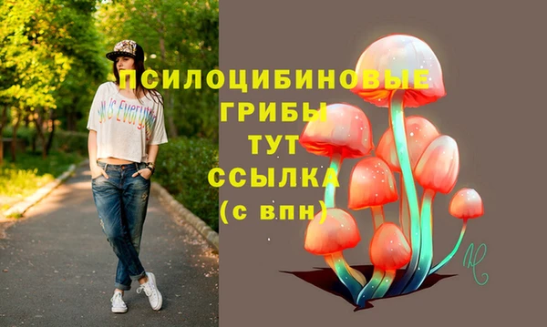 трава Арсеньев