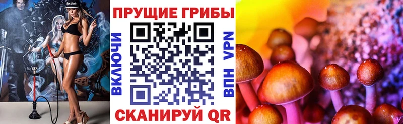 Галлюциногенные грибы мухоморы  Мещовск 